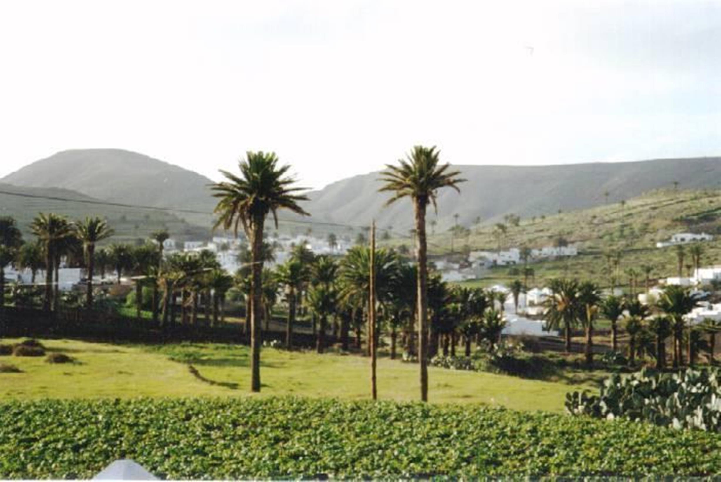 Apartamentos Celeste Costa Teguise Bagian luar foto